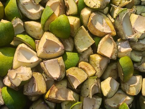Top View of Chopped Raw Green Mango Slices Prepared for Traditional Indian Pickling
