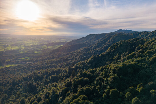The Kaimai range in the North Island of New Zealand. The mountains are covered in dense native forest. To the left is the farming country of the Waikato region