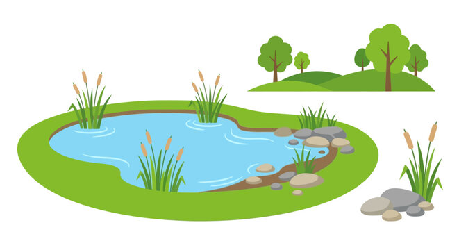 Cartoon pond with trees and cattails vector illustration on white background