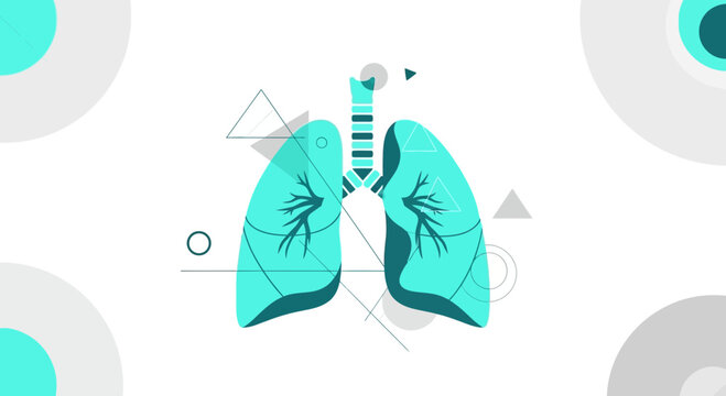Anatomical Artistic Depiction of Pulmonary System, Respiratory Organs, and Human Lungs