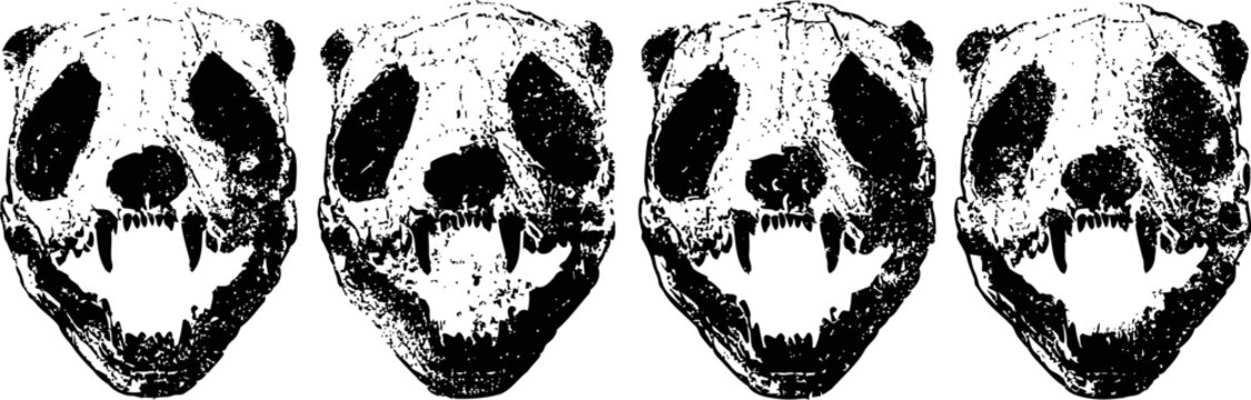 black and white skull pattern repeated grunge animal skulls with sharp teeth horror and gothic design element