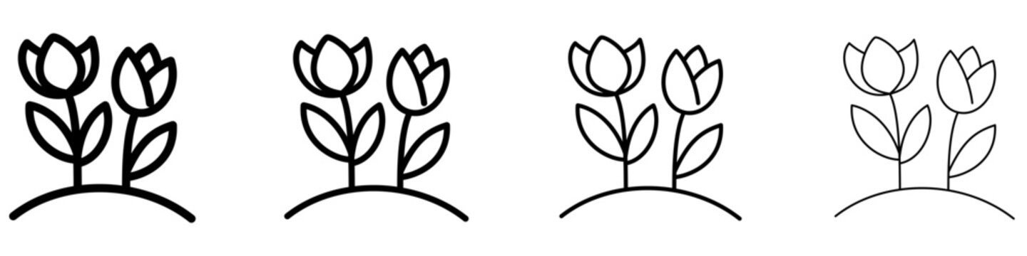 A set of tulip line icons growing on a hill, featured in four different stroke weights. Vector symbols for spring, nature, floriculture, or gardening.