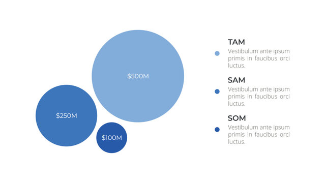 Blue Circles Display Financial Figures Against a Clean White Background