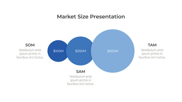 Market Size Diagram Shows Three Overlapping Circles