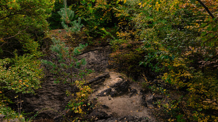Deep forest landscape with rocky terrain and autumnal foliage in September © Artem Kniaz