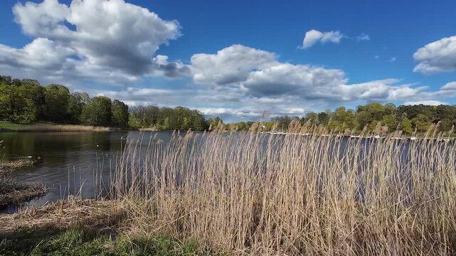 Cycling Along Lakeside Path in Hagaparken Stockholm on Sunny Day