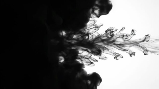 Abstract black ink drop diffusing in water against a clean white background creating a smoke like effect.