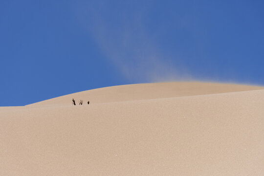 A barren landscape of a dune with sand blowing in the wind.