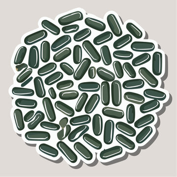 Microscopic View of Bacteria Colony