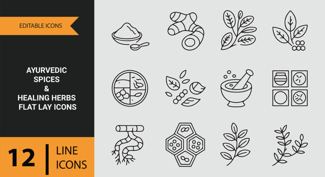 Ayurvedic Spices And Healing Herbs Outline Icons Collection