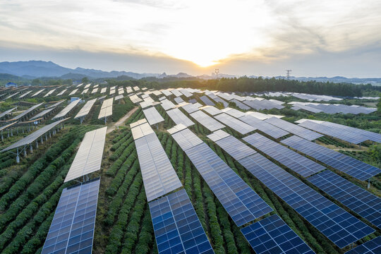 Agrivoltaics System with Solar Panels on Agricultural Land in Rural China