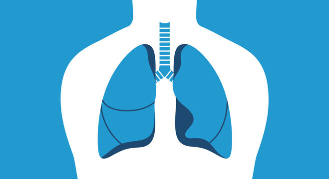 Anatomical Illustration Of The Human Respiratory System Depicted In Flat And Minimalist Style