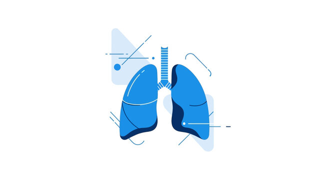 Anatomy Of Simplified Lungs Showing Illustration With Diagrams, Isolated On White