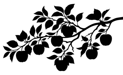 Apple tree branch silhouette vector isolated on white background, botanical fruit illustration for organic nature design, Apple, Tree, Brunch, Leaves, Leaf © Nayan
