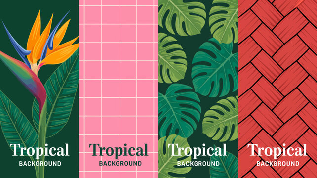 Tropical background set with bird of paradise monstera leaves pink grid and herringbone pattern high quality