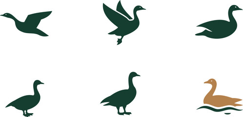 Collection of ducks and swans in various poses on white background © Shahin Stock