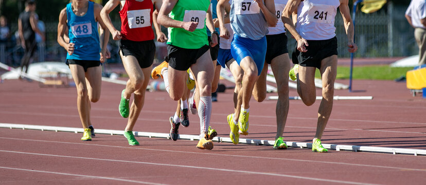 Group athletes running middle distance in athletics competitions