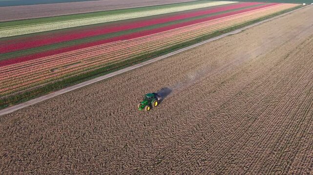Aerial view of a green tractor tilling soil in a brown field next to vibrant colorful tulip rows under bright daylight in Ursem, North Holland, Netherlands.