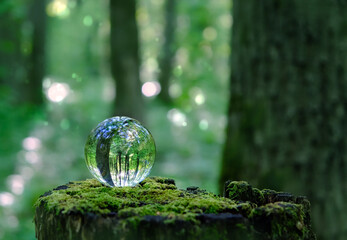 Obraz premium crystal ball close up on mossy tree stump in forest, abstract nature background. Fortune teller, magic prediction crystal ball for meditation, relax. Witchcraft, esoteric ritual for summoning spirits