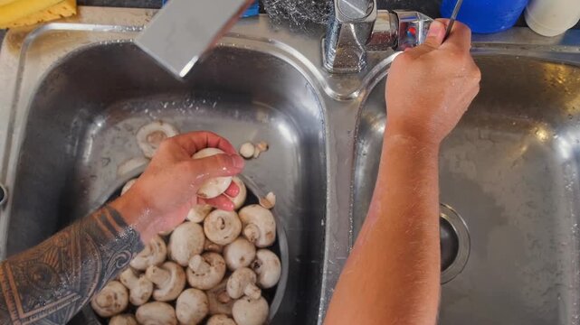 man washing and peeling mushrooms under running water top view in kitchen sink, cleaning fresh champignons for cooking, hygiene routine, food safety, home meal preparation