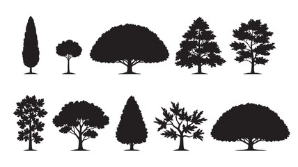Tree silhouette set with various foliage shapes and textured black vector style for landscape design and decor © Diego