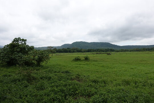 Arusha National Park in Tanzania