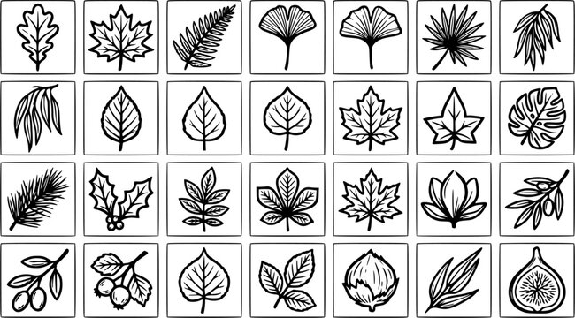 Botanical Nature Black  White Line Art Leaves Vector Icons Set. Diverse Outline Foliage Collection for Environment, Biology, and Organic Design.