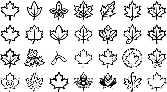 Nature and Botanical Black  White Line Art Glyph Icons: Collection of Maple Leaf and Samara Outlines for Autumn, Canadian, and Forest Designs.