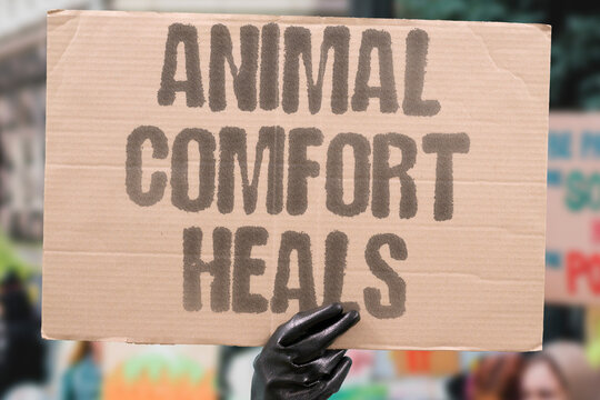"Animal Comfort Heals" Non-pharmaceutical therapeutic interventions using animals offer clinically validated emotional relief. NONPHARMACEUTICAL. INTERVENTIONS. CLINICALLY. VALIDATED. RELIEF.
