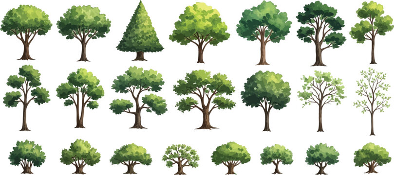 Collection of diverse stylized trees in various shapes and colors