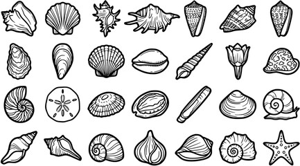 Black and White Line Art Vector Icons of Various Seashells and Marine Life © pixsource