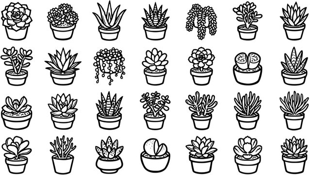 Succulent Plants Black and White Line Art Icon Set for Gardening, Nature, and Home Decor Themes. Outline Botanical Vector Collection of Potted Houseplants.