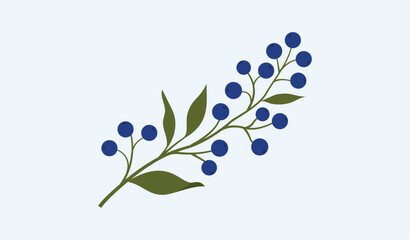 Blue berry branch botanical illustration decorative floral plant © Farjana76