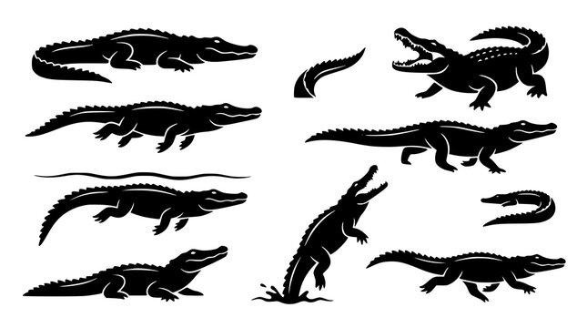 Wild crocodile silhouette vector set action poses animal illustration pack