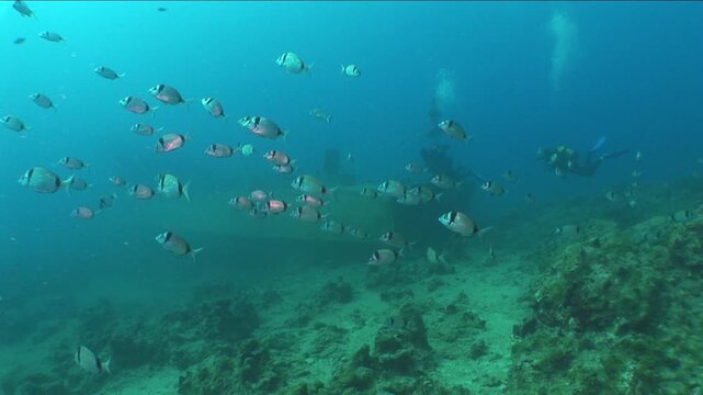  shipwreck scenery underwater ship wreck deep blue water ocean scenery of metal underwater scuba divers to explore