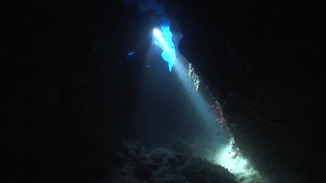scuba divers exploring and enjoying  caves and tunnel underwater scenery with red shrimps around
