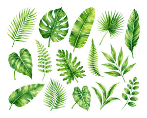 Watercolor Tropical Leaves Collection. © Hato