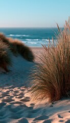 Obraz premium Sunlit beach path through dune grass leading to calm ocean