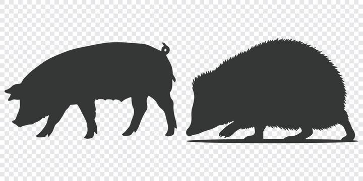 Minimalist black vector illustration featuring two wild boars in a flat graphic style, ideal for wildlife-themed designs and projects.