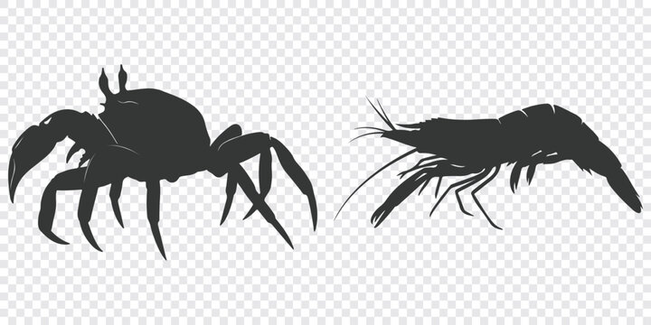 Minimalist flat vector graphic of two stylized black ants in profile, facing each other on a plain white background, clean and scalable design.
