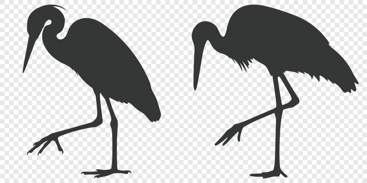 Minimalist flat vector graphic depicting two black ibises in a clean, stylized silhouette design against a plain background.