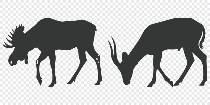 Minimalist black flat vector illustration depicting two moose grazing, designed as a clean and simple graphic silhouette.