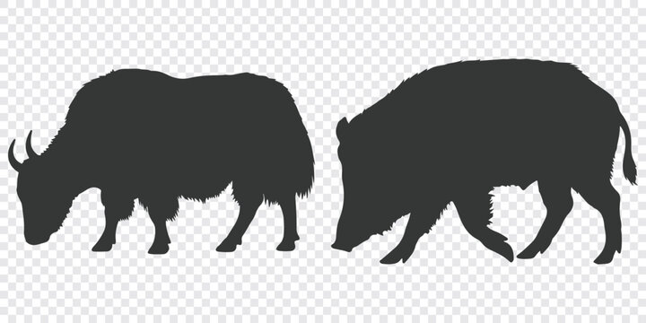 A flat vector design featuring silhouettes of a yak and a wild boar in a minimalistic graphic style.