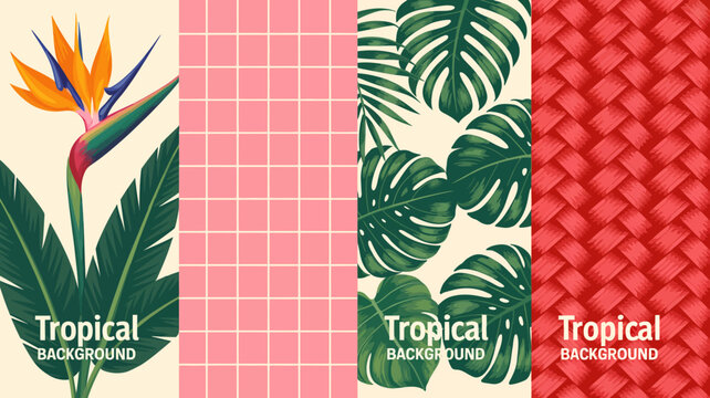 Tropical background set with bird of paradise monstera leaves pink grid and woven texture high quality