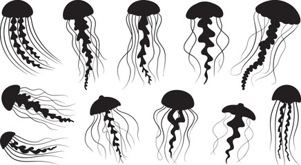 Jellyfish vector silhouette set for ocean life, marine biology, and aquatic summer beach designs, minimal black outline collection representing underwater creatures, sea ecology,  © Vector Gallery
