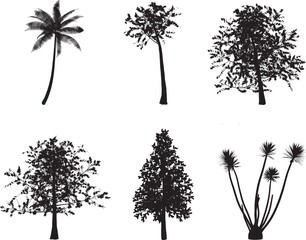 Obraz premium A comprehensive collection of vector tree silhouettes featuring tropical palms, forest pines, and oak branches in a black nature design set for summer beach patterns and botanical art ill