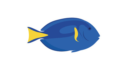 Fototapeta premium Vibrant Blue Tang Fish Illustration in Profile View, Detailed Paracanthurus Hepatus Surgeonfish Vector Graphic Isolated on Background, Tropical Saltwater Aquarium Fish Art