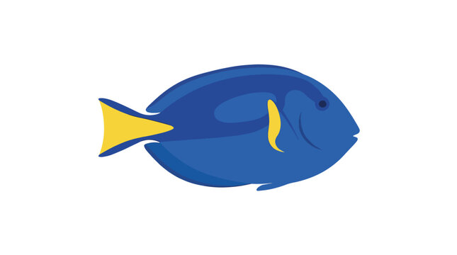 Vibrant Blue Tang Fish Illustration in Profile View, Detailed Paracanthurus Hepatus Surgeonfish Vector Graphic Isolated on Background, Tropical Saltwater Aquarium Fish Art