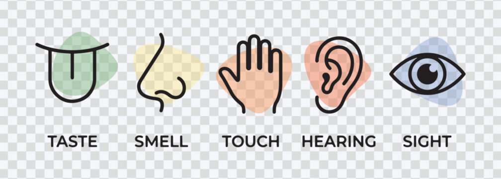Five Senses Icons Illustration