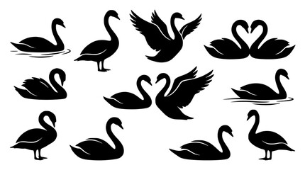 Elegant swan bird silhouette vector set graceful waterfowl illustration collection © MdAmzad